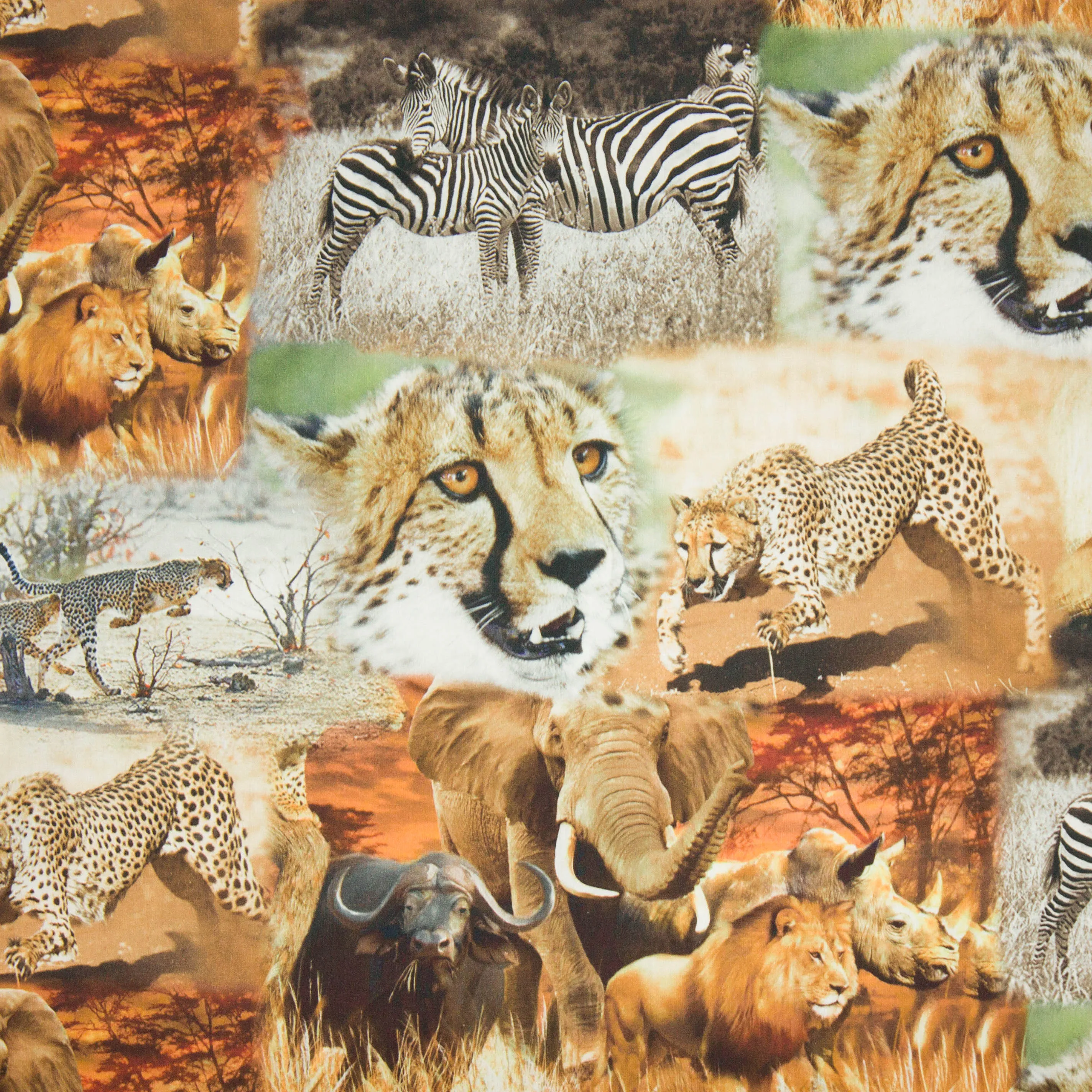 Katoen poplin met safaridieren